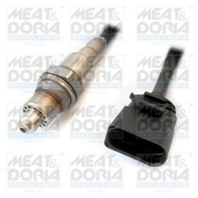 Oxygen Sensor
